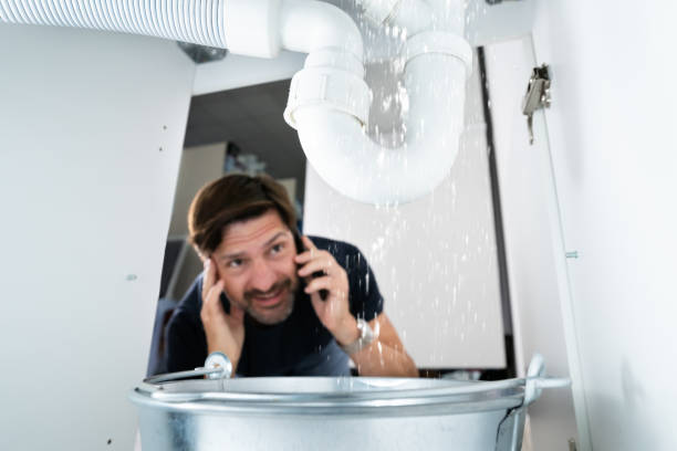 Best Local Plumber Services  in White Horse, NJ